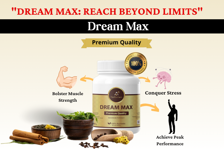 Dream Max: Reach Beyond Limits